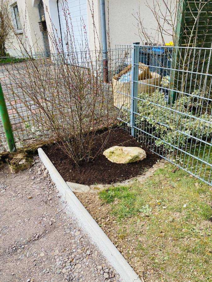Pension Platzhirsch Mücke Екстериор снимка